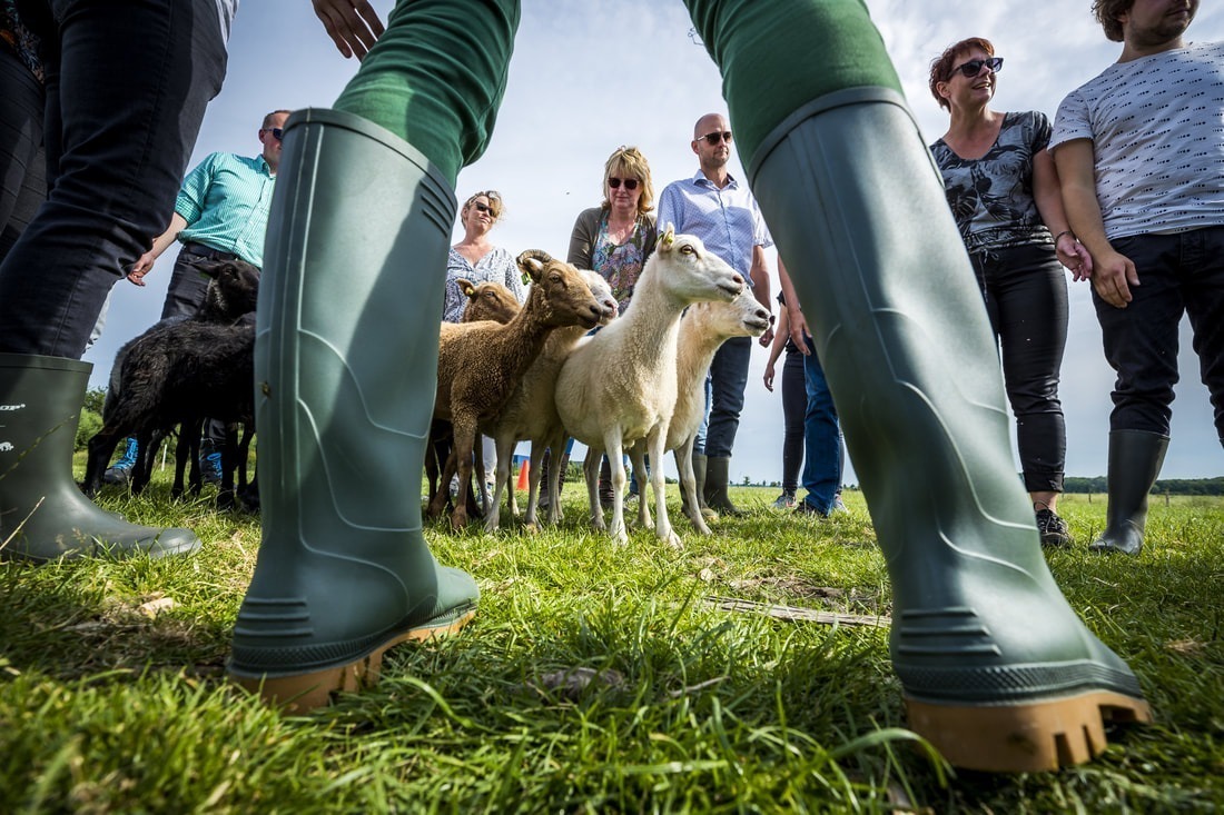 De bronckhorst hoeve events